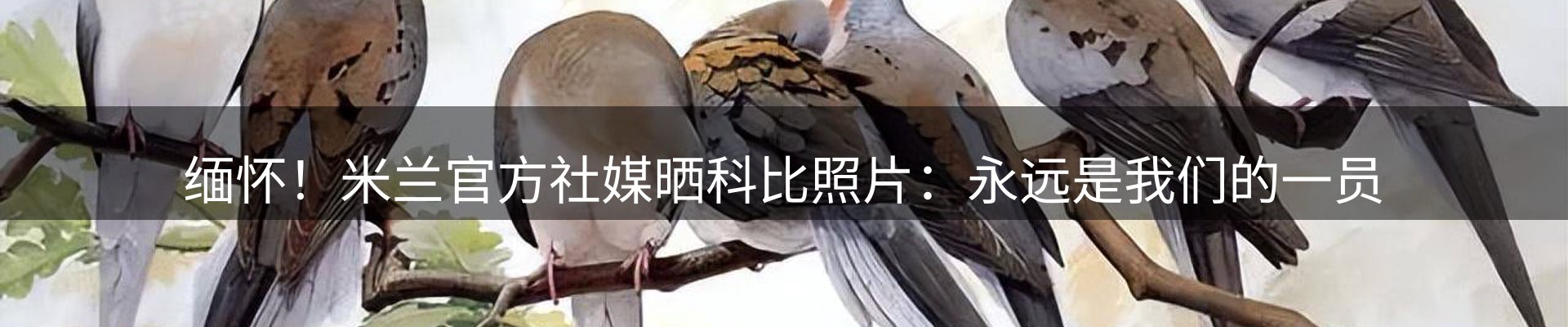 ued官网要闻
